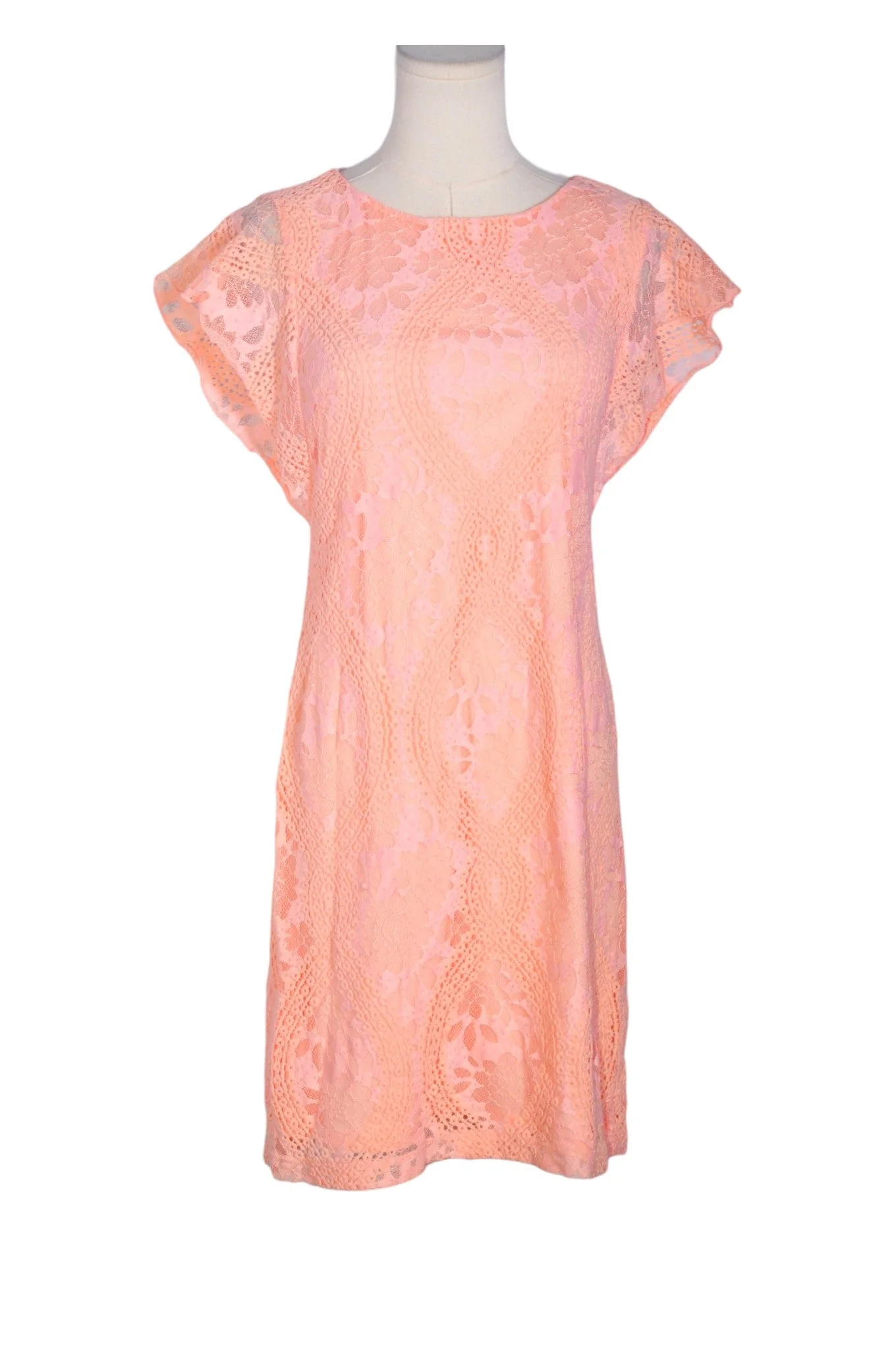 CATO Women Midi Dresses Regular fit in Pink - 6