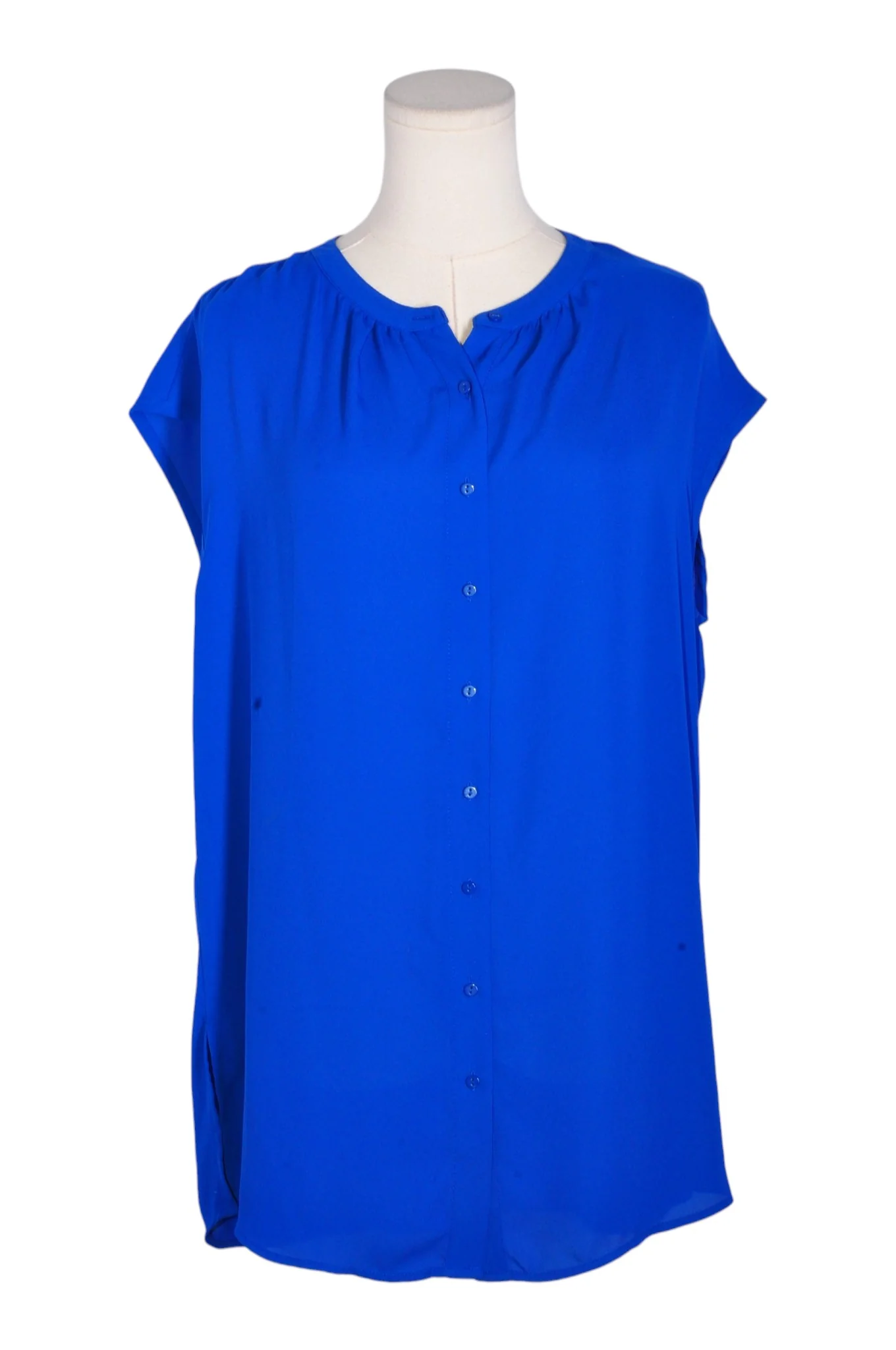 REITMANS Women Blouses Regular fit in Blue - L